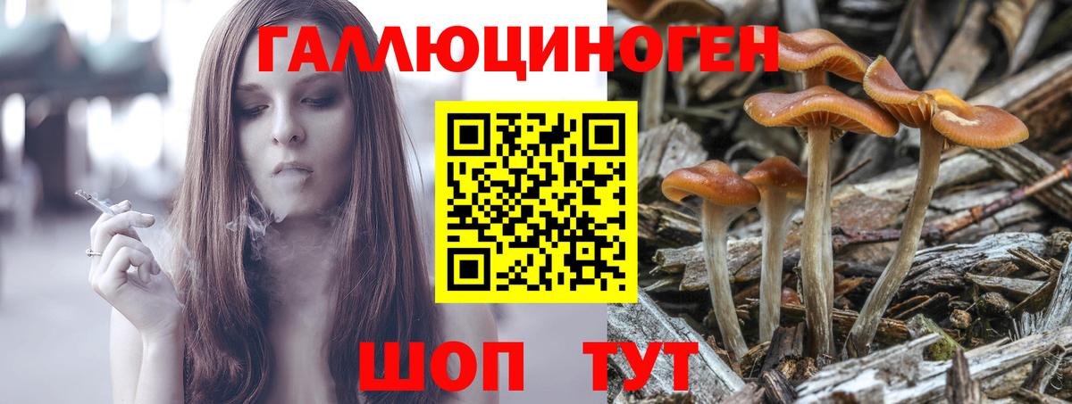 Галлюциногенные грибы Magic Shrooms  Вход с VPN  Камышлов 