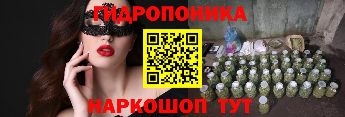 МАРИХУАНА сатива Камышлов